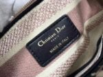 Dior Lady D-Lite Medium Bag Fake in Multicolor Tie Embroidery - Image 7