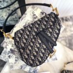 Dior Saddle Bag