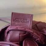 Fake Bottega Veneta Sardine Mini Bag Barolo - Image 10