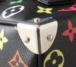 LV X TM Multicolored Speedy Bandouliere 25 In Black - Image 9