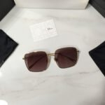 DiorCannage S1U - Image 2