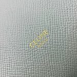 Celine Micro Belt Bag Knockoff in Vert D eau - Image 9