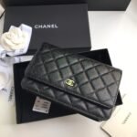 Chanel WOC - Image 9