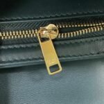 Top Quality Fake Celine Triomphe Medium Bag In Amazone - Image 6
