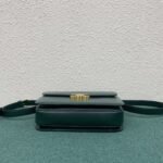 Top Quality Fake Celine Triomphe Large Bag In Amazone - Image 8