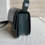 Top Quality Replica Celine Classic Box Small Bag In Amazone - Image 5