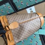 Disney ✖ Gucci Bucket - Image 3