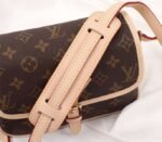 Louis Vuitton Monogram Canvas Sologne BB Bag - Image 4